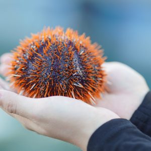 Coach opleiding loslaten Module 3